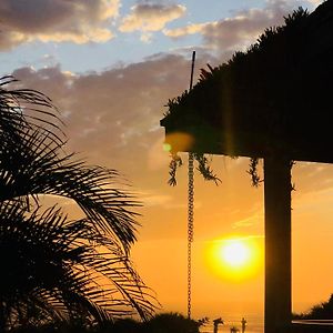 Fazenda Verde - Praia do Rosa
